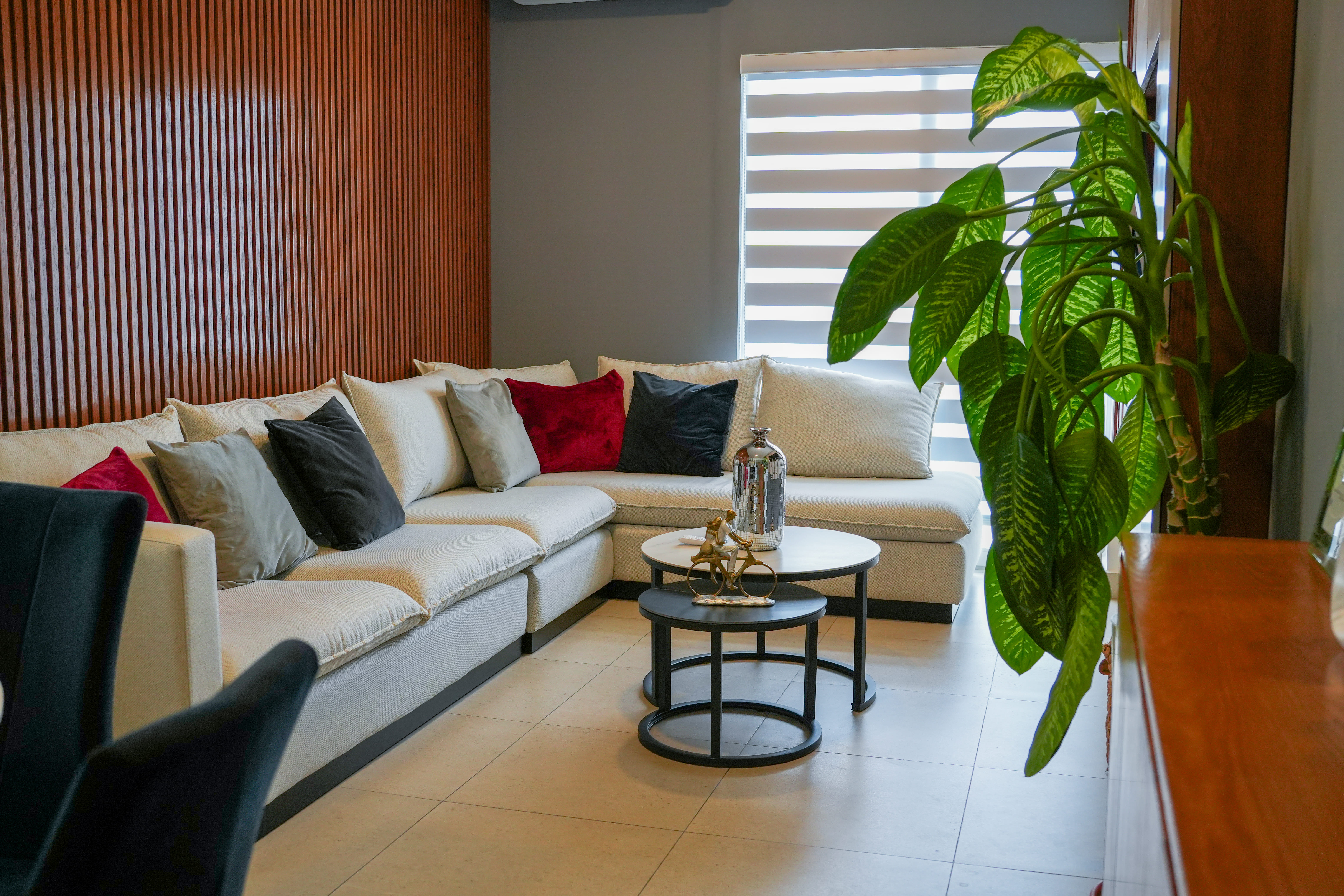 Mirall Departamento Plata
